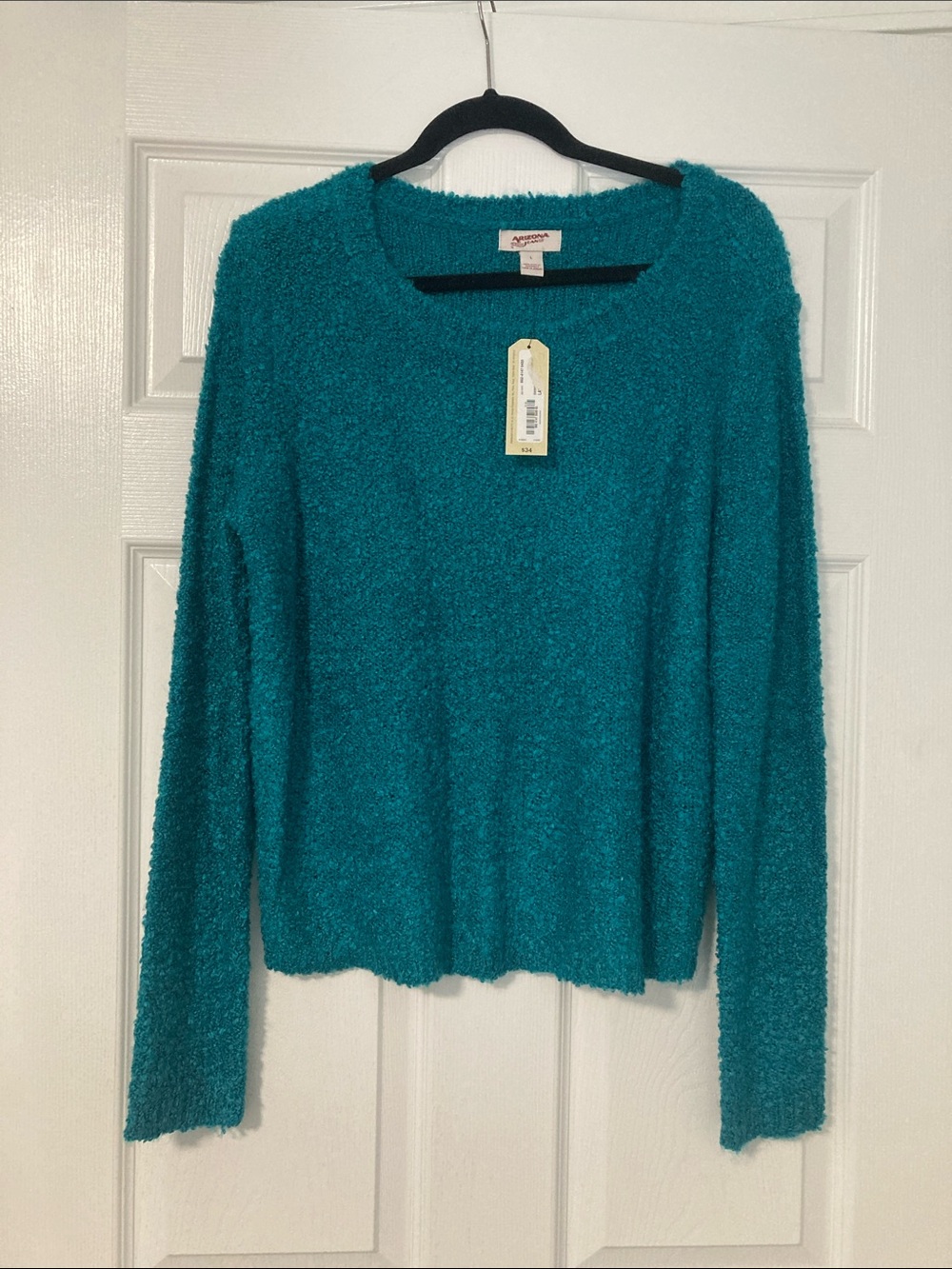 Women’s Crewneck Fuzzy Sweater in Teal